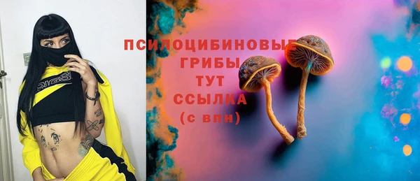 PSILOCYBIN Баксан