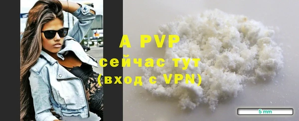 PSILOCYBIN Баксан