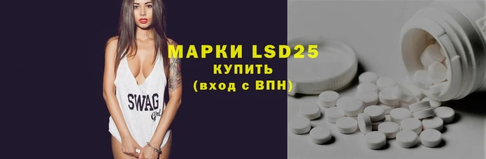 PSILOCYBIN Баксан