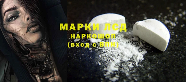 PSILOCYBIN Баксан