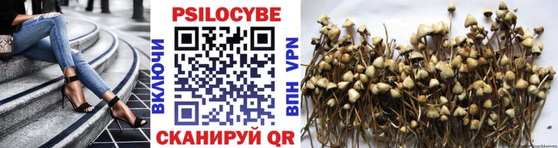 Псилоцибиновые грибы Psilocybine cubensis  магазин  наркотиков  Отрадное 